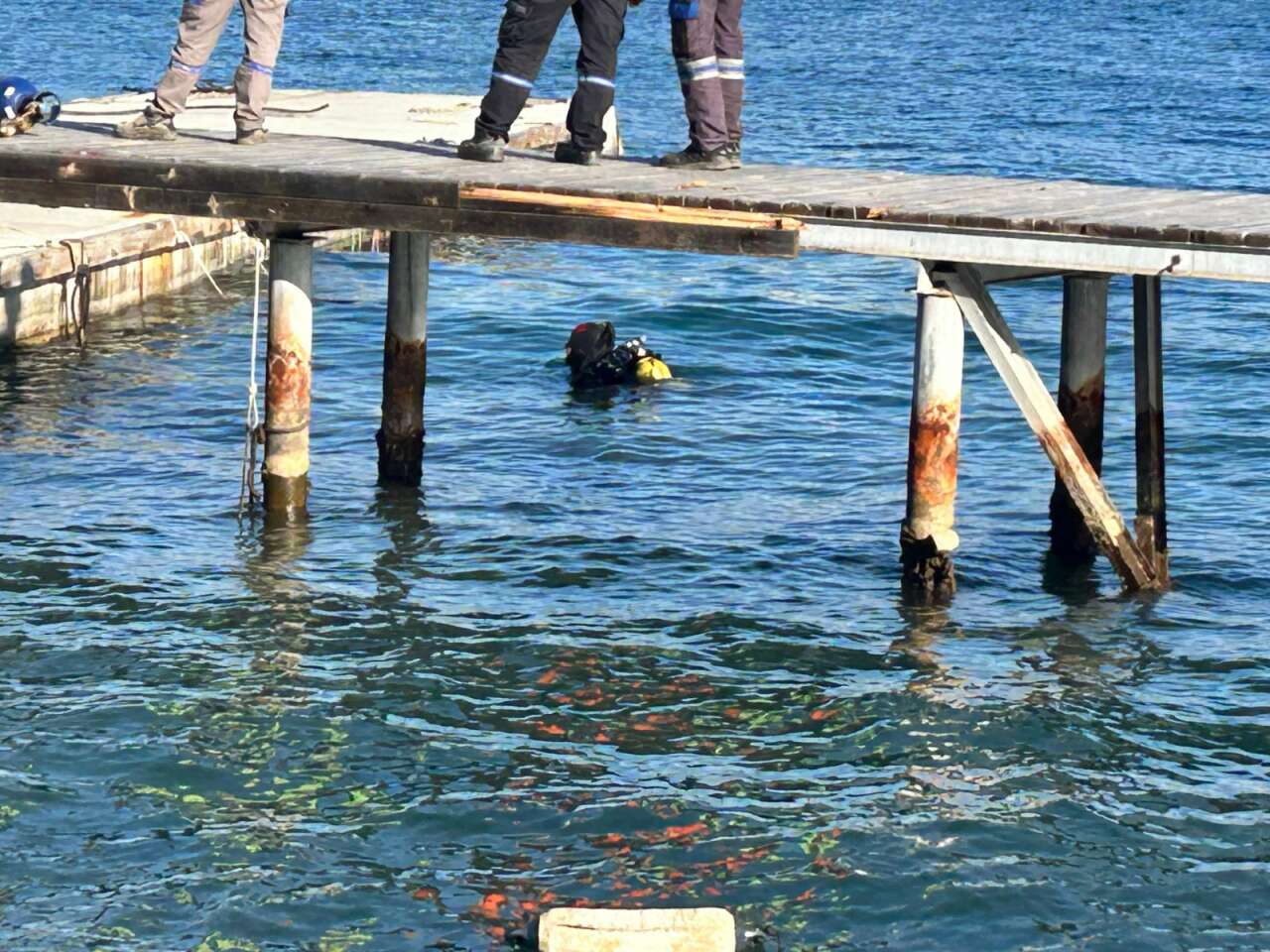 Sosyetenin Cenneti Türkbükü’nde Kaçak Liman Operasyonu! İskeleler Yıkılıyor, Tekneler Yediemine Çekiliyor 4